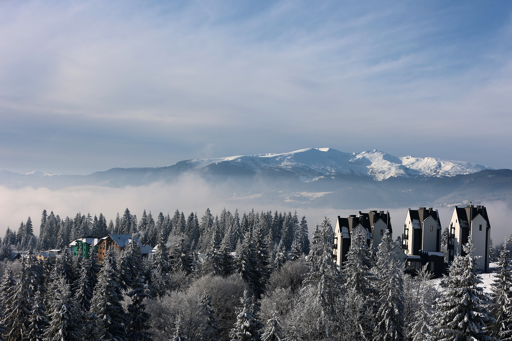 Інтернет Starlink і генератор. Яке житло українці шукають на зиму в Карпатах